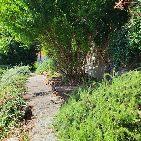 Robin's Nest 招待所